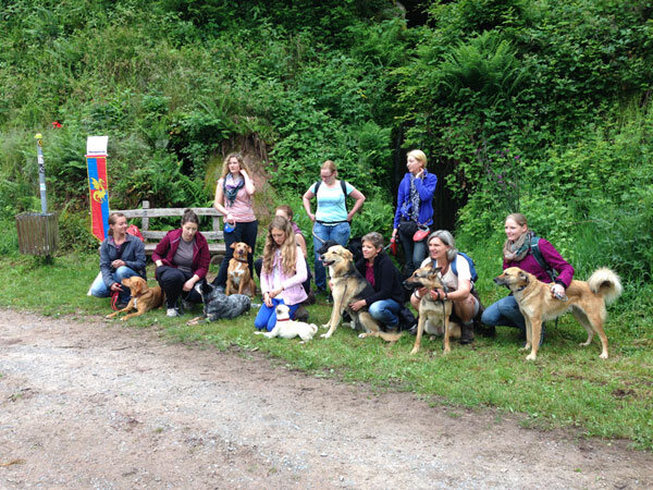 Gruppe von Vereinsmitgliedern mit ihren Hunden, sitzend und stehend am Rand eines Waldwegs.